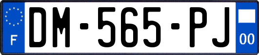 DM-565-PJ