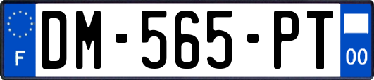DM-565-PT