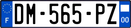 DM-565-PZ