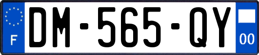 DM-565-QY