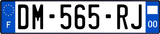 DM-565-RJ