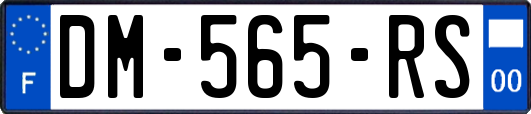 DM-565-RS
