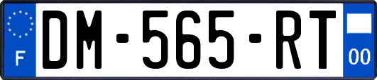 DM-565-RT