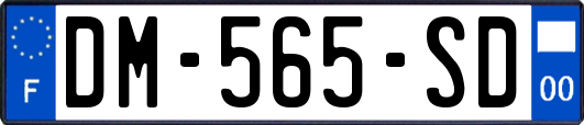 DM-565-SD