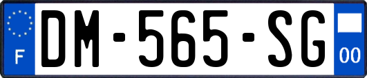 DM-565-SG