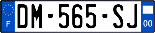 DM-565-SJ