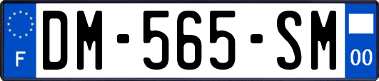 DM-565-SM