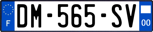 DM-565-SV