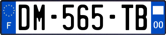 DM-565-TB