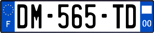 DM-565-TD