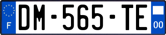 DM-565-TE