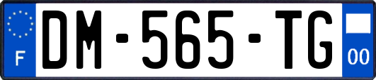 DM-565-TG