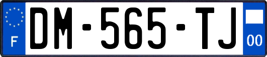 DM-565-TJ