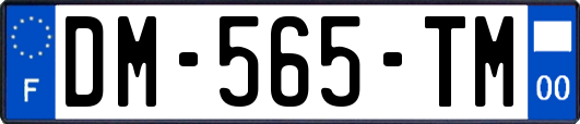 DM-565-TM