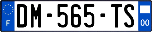DM-565-TS