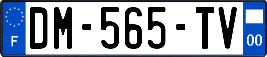 DM-565-TV