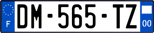 DM-565-TZ