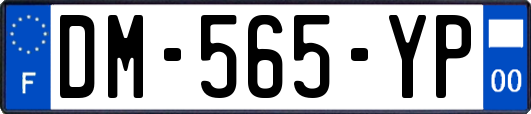 DM-565-YP