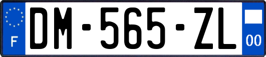 DM-565-ZL