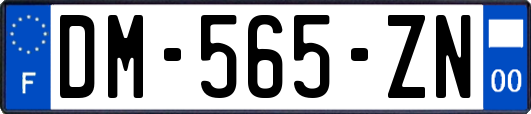 DM-565-ZN