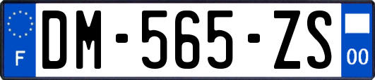 DM-565-ZS