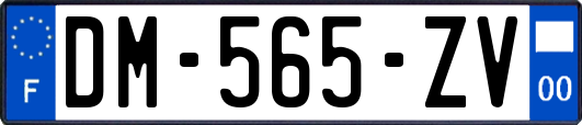 DM-565-ZV