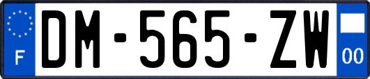 DM-565-ZW