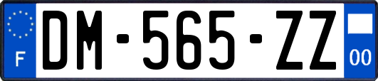 DM-565-ZZ