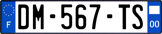 DM-567-TS