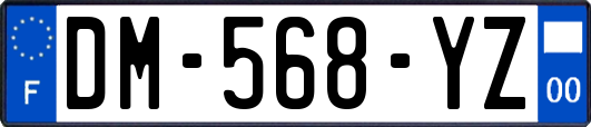 DM-568-YZ