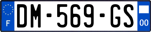 DM-569-GS