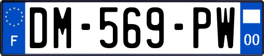 DM-569-PW