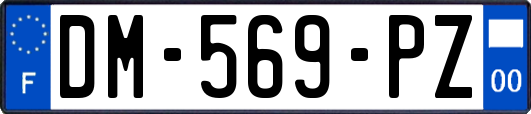 DM-569-PZ