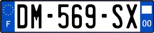 DM-569-SX