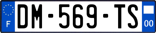 DM-569-TS