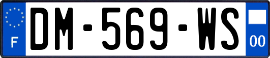 DM-569-WS