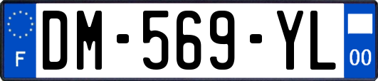 DM-569-YL