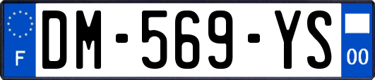 DM-569-YS