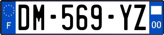 DM-569-YZ