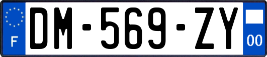 DM-569-ZY