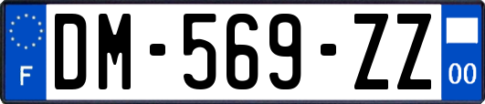 DM-569-ZZ