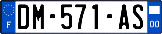 DM-571-AS