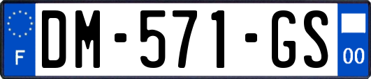 DM-571-GS