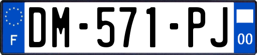 DM-571-PJ