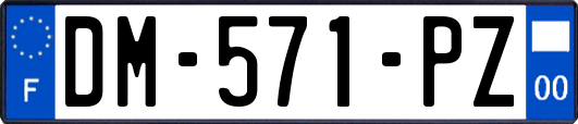 DM-571-PZ