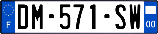 DM-571-SW