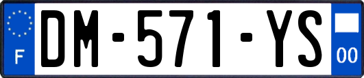 DM-571-YS