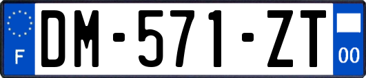 DM-571-ZT