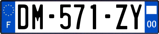 DM-571-ZY