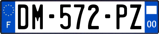 DM-572-PZ